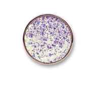Load image into Gallery viewer, BB&amp;W cosmetics Body Glitter
